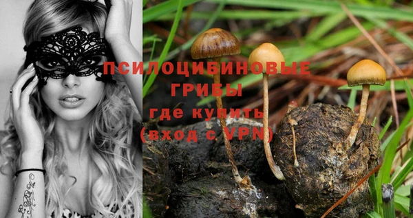 кристаллы Алзамай