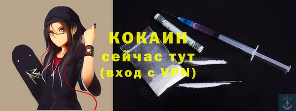 spice Алексин