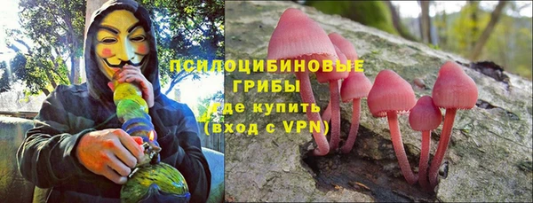 spice Алексин